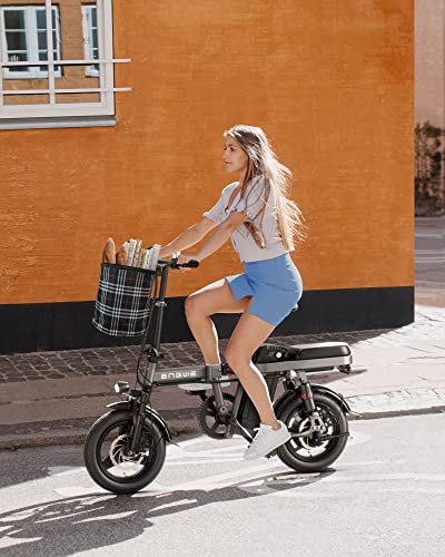 ENGWE Draisienne Electrique Adulte Velo Electrique Vélo Électrique avec Batterie Amovible 48V 10Ah Vélos Électriques 14 Pouces Velo Electrique Pliable 25kmh Jusquà 50km T14 Menagerexpress